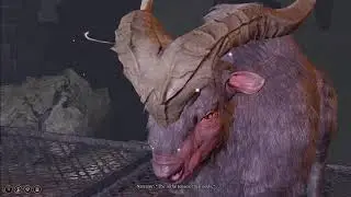 Baldur gate 3 :dark urge part 29 going deeper into the forge