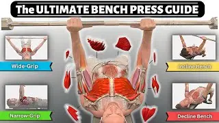 BEFORE YOU BENCH PRESS, Understand the Anatomy Behind it! (Incline, Decline, Close Grip, Wide, Form)