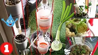 Hydroponie : WINDOW FARM Comment débuter en hydroponie maison hydroponique bottles