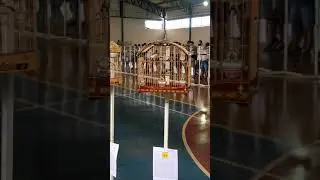 Papa capim coleiro coleirinha gravatinha Jon Jones do Rodrigo na etapa do torneio nacional