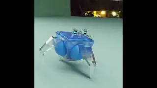 3D Crab Walking