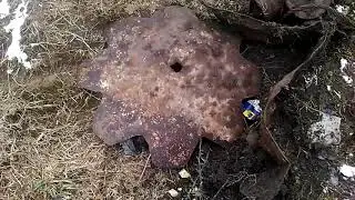 Заработать 6500 за три часа?Легко:)