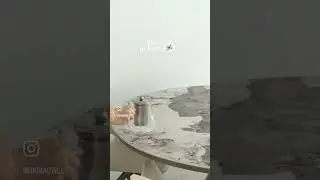 МОЕ УТРО В КОРЕЕ!