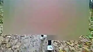 Брэд ебучий #1