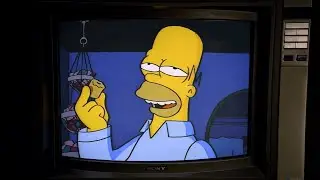 Los Simpson con doblaje venezolano #2 - Ted La Serie