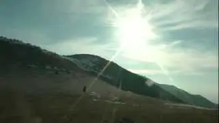 Go13 Ананас на коне)))