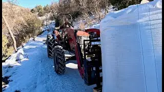 Case FARMALL45 moving OVER 10,000 POUNDS OF BARLEY down the MOUNTAIN