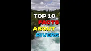 Top 10 Fascinating Facts about Rivers 🌊🌿 | #river #riverfact #factsvideo
