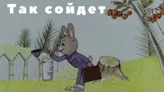 Так сойдет!