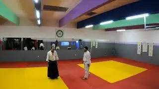 jo wasa jodan tsuki