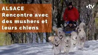 Alsace : Carolina devient co-pilote 