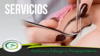 Servicios Form Line