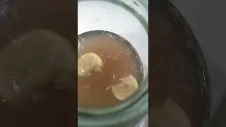 Натуральный витамин для голубей