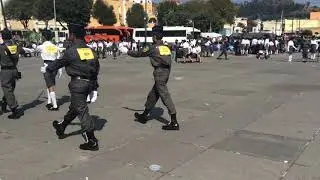 Escolta Mixta categoría Juvenil JJC 2018