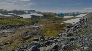 La tundra