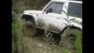 MVI 2917
