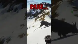 Mountain Top Scare! 