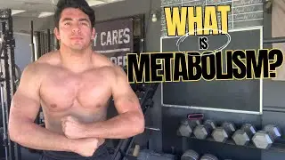 THIS IS WHY YOU HAVE TO LIFT WEIGHTS IF YOU WANT TO LOSE FAT #fatloss #weightloss #metabolism #fat