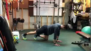 Hip Extension - Straight Leg - Quadruped