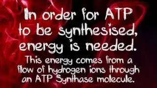 ATP Synthesis A Level Biology Revision Video