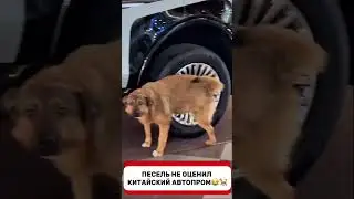 Выразил свою четкую позицию😅