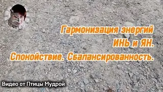 Как гармонизировать ИНЬ и ЯН внутри себя и снаружи. Как найти спокойствие и сбалансированность.