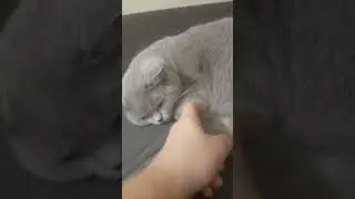 НЕ ДЕЛАЙ ТАК,ЭЭЭЭ😠