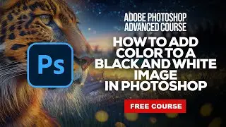 How to Colorize a Black and White Image in Adobe Photoshop CC - The Right Way!