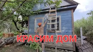 #ДачныйРемонт