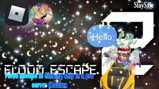 Flood escape 2: Sinking Ship in a Pro server (Roblox)