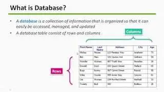 25 - Creating, Updating, Deleting and Querying database - Android Studio