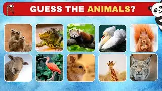 🔍 Can You Guess These 50 Animals?🐾Animal Guessing Game Challenge!#MasterShifuSpotting 🐼#AnimalTrivia