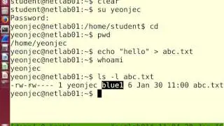 Linux Command Line: File Permissions (8 of 8)