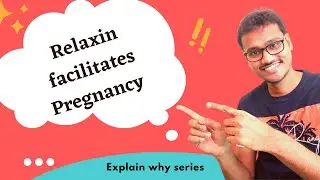 Relaxin facilitates Pregnancy. WHY??