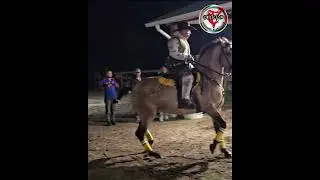 Rancho Las 5 Estrellas,  Howell NJ -  10/26/2024