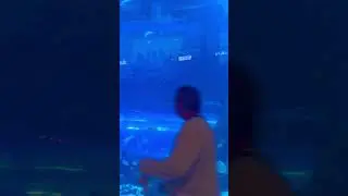 World Biggest aquarium #china #dubai #dubaimall
