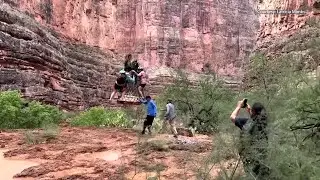 Grand Canyon Rescue Caught on Cam