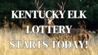 Kentucky Elk Lottery!  2023 Lottery Starts Today!