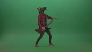 Fun green screen animal horse man with guitar on green screen free download