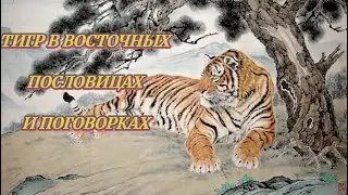 ДВУМ ТИГРАМ ТЕСНО НА ОДНОЙ ГОРЕ