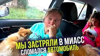 The car broke down on the way to Chelyabinsk. Stuck in Miass. The dogs are tired