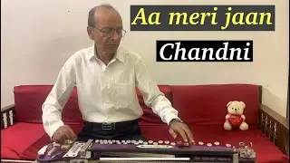 Aa Meri Jaan | Chandni | Banjo Cover || Yusuf Darbar