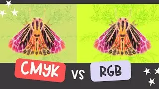 CMYK vs RGB in Procreate: Why Your Colors Look Dull & How to Make Them Brighter