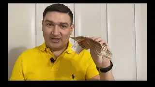 Сделайте Эти Два условия и Получайте Большие Деньги Онлайн