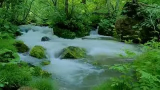 River Sounds For Sleeping - 12 Minutes Nature Sounds Waterfall River Relaxation Meditation