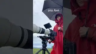 Как Аня и Дима снимали фильм про лис на Камчатке