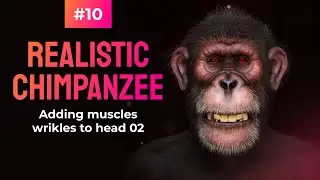 Master Zbrush: Realistic Chimpanzee Creation - Adding muscles wrikles to head 02