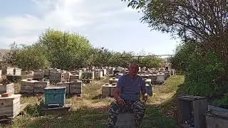Матковыводной сезон 2024