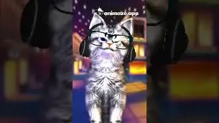 Animation Test (Animaze)