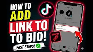 How to Add a Link to Your TikTok Bio (2026)
